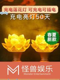 充電款燈籠燈不插電電子陽臺新年彩燈家用新春家門口掛件室外電池 幸福第壹站 歷史價格詳細信息