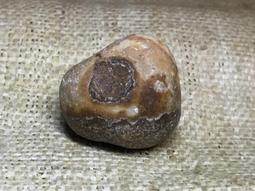 人工珠⭕仿舒俱來皇家手鍊????舒俱萊原創款手鍊串????舒俱菜綠松南紅套鍊YPS24928-30 歷史價格詳細信息