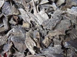 【勝發香舖】惠安系柬埔寨沉香片，每10公克售400元，每兩1350元，惠安沉香、高棉沉香 歷史價格詳細信息