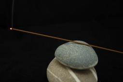 索隆沉香 歷史價格詳細信息