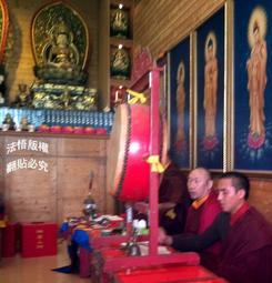 [免運]鬼泣4姬莉葉cosplay服裝#金隆賣場 歷史價格詳細信息