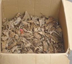 "桂山企業，香品批發"，柬埔寨七吋臥香，20公克=400元。 歷史價格詳細信息