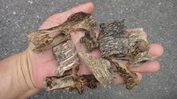 芽莊蟲漏沉香粉【周錦香】越南正區 花香 奶香 蜜香【網路特惠】(煎香 沉粉 淨香末 貢末 煙供 淨粉 薰香 香道) 歷史價格詳細信息