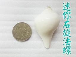 #禪圓#八吉祥蓮花香爐-附防火棉-銅+合金-八寶蓮花三件套香篆爐-可用四小時盤香、兩小時香環、香粉 歷史價格詳細信息