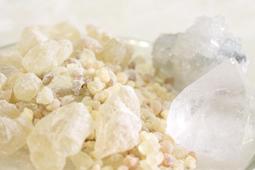 神奇魔法樹 聖誕樹 迷你小許願樹 紙樹開花 創意聖誕節禮品~現貨《HELLO 小忞恩》 歷史價格詳細信息