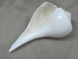 殊勝圓滿萬咒之王楞嚴咒多咒合一項鏈吊飾吊墜掛飾掛墜男女老少飾品趨吉避凶事事如意招財進寶善願圓滿智慧增長護身符 歷史價格詳細信息