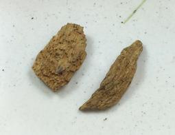 沉水~越南富森紅土沉香【周錦香】約0.92g 越南正區 濃甜蜜韻 甘醇奶香【特惠$3300】福森紅土 薰香 水沉 #12 歷史價格詳細信息