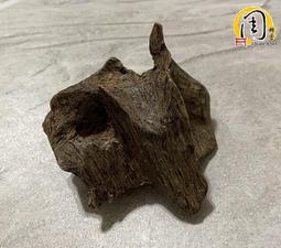 沉水~加里曼丹沉香【周錦香】約20.92g 熟結 倒架 果香甘甜帶涼氣【入水即沉】加里萬丹 薰香 香道 把玩件 水沉 歷史價格詳細信息