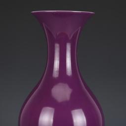 大清雍正胭脂紅描金浮雕昆蟲玉壺春瓶 仿古瓷器古董古玩收藏真品 歷史價格詳細信息