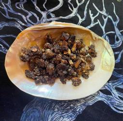 【智懋佛教文物】A1200.大型不丹蓮師杖.木雕普巴杵.蓮花生大師殊勝加持力.FOO.1200. 歷史價格詳細信息