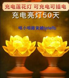 充電款燈籠燈不插電電子陽臺新年彩燈家用新春家門口掛件室外電池 幸福第壹站 歷史價格詳細信息