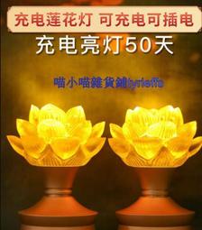 充電款燈籠燈不插電電子陽臺新年彩燈家用新春家門口掛件室外電池 幸福第壹站 歷史價格詳細信息