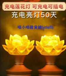 充電款燈籠燈不插電電子陽臺新年彩燈家用新春家門口掛件室外電池 幸福第壹站 歷史價格詳細信息