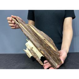 《高富》神秘銀刺(全2冊)雷蒙費斯特【頭大大-奇幻小說】十10◎EC4 歷史價格詳細信息