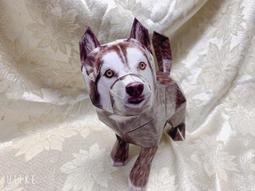 《小勳手作坊》寵物專用金紙 金紙紙藝紙紮紙扎(金紙類商品無法累計滿千免運優惠) 歷史價格詳細信息