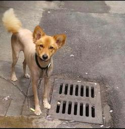 南橫公路????紙紮財寶箱????做七百日對年忌日 清明端午中元中秋重陽過年 祭祖祭祀普渡 冤親債主 好兄弟 往生用品 歷史價格詳細信息