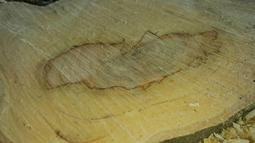 石灰石粉不鏽鋼絞龍輸送機 海晟定做粉末顆粒螺旋提升機 歷史價格詳細信息