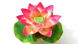 (新大成藝品) 方形宮扇 空白宮扇 宮扇 布扇 彩繪扇子 宮廷扇 古典扇 表演扇 歷史價格詳細信息