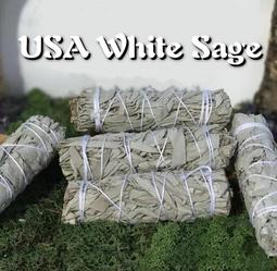 白色鼠尾草塔羅（贈電子中文翻譯）｜White Sage Tarot，可愛的動物與美麗花冠形成的美妙世界【左西購物網】 歷史價格詳細信息