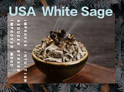 白色鼠尾草塔羅（贈電子中文翻譯）｜White Sage Tarot，可愛的動物與美麗花冠形成的美妙世界【左西購物網】 歷史價格詳細信息