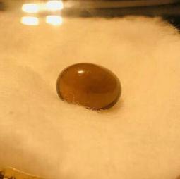 印度薩迦寺 綠度母甘露 歷史價格詳細信息