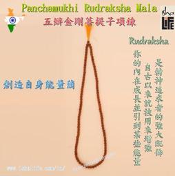 薩古魯談業力: 一個瑜伽士關於改變宿命的教導 eslite誠品 歷史價格詳細信息