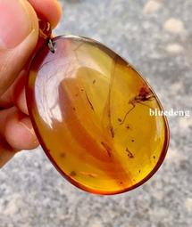 《流行琥珀焦糖色系列甲油膠》～有16色可選 歷史價格詳細信息