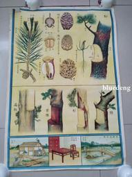 民國時期植物掛圖，學友圖書社出，介紹了各類植物及應用，畫面清15393 歷史價格詳細信息