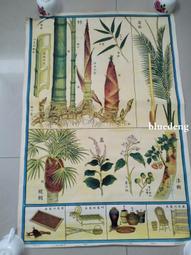 民國時期畫屏手稿兩聯一套，手繪&ldquo;鳳穿牡丹、蝴蝶戲荷花&rdquo;圖案，15496 歷史價格詳細信息