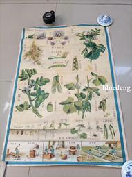 民國時期植物掛圖，學友圖書社出，介紹了各類植物及應用，畫面清15393 歷史價格詳細信息