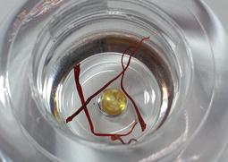 【冬瓜妹】佛陀法句經 第一卷 有畫線(奧修．1994年初版) 1FD 歷史價格詳細信息