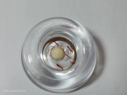 【冬瓜妹】佛陀法句經 第一卷 有畫線(奧修．1994年初版) 1FD 歷史價格詳細信息