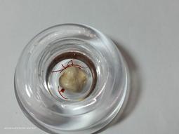 【冬瓜妹】佛陀法句經 第一卷 有畫線(奧修．1994年初版) 1FD 歷史價格詳細信息