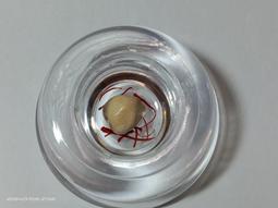 【冬瓜妹】佛陀法句經 第一卷 有畫線(奧修．1994年初版) 1FD 歷史價格詳細信息