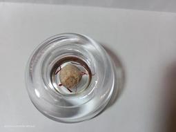 【冬瓜妹】佛陀法句經 第一卷 有畫線(奧修．1994年初版) 1FD 歷史價格詳細信息