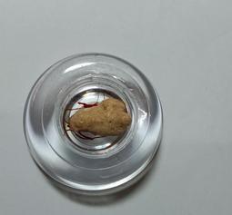 【冬瓜妹】佛陀法句經 第一卷 有畫線(奧修．1994年初版) 1FD 歷史價格詳細信息