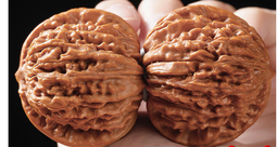 文玩核桃四座樓獅子頭盤玩把玩手把件手球大官帽機刷包漿精品古玩 歷史價格詳細信息