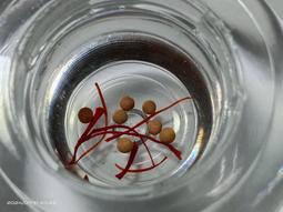 【冬瓜妹】佛陀法句經 第一卷 有畫線(奧修．1994年初版) 1FD 歷史價格詳細信息