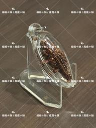 佛曆2551-古巴普托威-神獸醒 強力招財、助官運、地位、權勢、威望、旗開得勝、百戰百勝、助生意抓財、扶持事業、擋災避險 歷史價格詳細信息