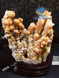 精品12xx口琴初學者入門全音階布魯斯十孔口琴復音口琴正品樂器禮物 歷史價格詳細信息