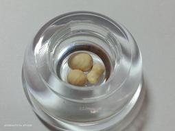 緬甸舍利子博物館恭請釋迦牟尼佛佛瑙堅固子佛腦舍利子9~12mm可裝藏舍利塔佛塔寶塔噶烏盒佛盒嘎烏盒一尊（顆） 歷史價格詳細信息