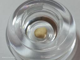 【冬瓜妹】佛陀法句經 第一卷 有畫線(奧修．1994年初版) 1FD 歷史價格詳細信息