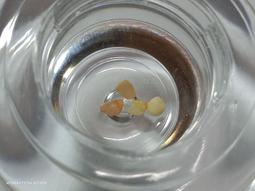 【冬瓜妹】傳家之寶 怎樣過個真正幸福快樂美滿的人生(常漸學人．無出版日期) 1FB 歷史價格詳細信息