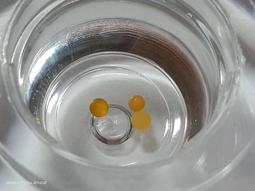 [3F-2雜貨舖] 二手 苗栗玩透透旅遊季刊 2010年4月春季號/內頁： 張善為 徐麗雯，楊謹華 阮經天 溫昇豪 懷秋 歷史價格詳細信息