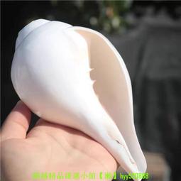 海螺燈音響智能夜燈氛圍燈帶app睡眠好夥伴贈禮佳品 歷史價格詳細信息