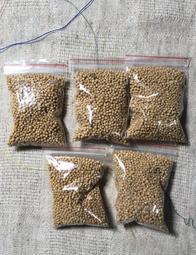 多智欽仁波切 忿怒蓮師馬鵬炙燃甘露 歷史價格詳細信息