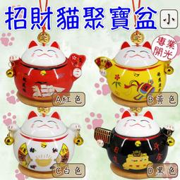 【168開運坊】【五行陶瓷達摩~一套~特贈步步高升底座/達摩錢幣*1個】開光/擇日】 歷史價格詳細信息