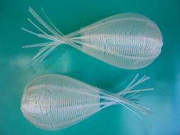 裝飾擺設收藏品 寶麗來XIAO 拍立得一次成像底片相機Polaroid相紙 歷史價格詳細信息