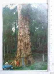 009 Scale MinitrainS 2054 Plymouth Diesel Locomotive NIB OO9 Narrow Gauge HOe 歷史價格詳細信息