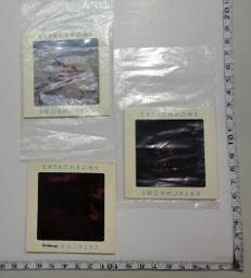 【台灣博土TWBT】202101-059 民國69年度 吉利果歡樂大贈送 抽獎獎品收據 歷史價格詳細信息